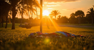 Empty playground equipment bathed in golden sunset light at a Dubai park, with abandoned picnic blanket visible on grass