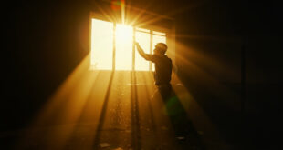 Abandoned urban apartment with sunlight streaming through open window, casting warm golden light against cool shadows.