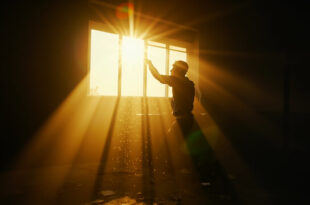 Abandoned urban apartment with sunlight streaming through open window, casting warm golden light against cool shadows.