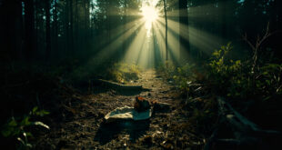 Abandoned forest clearing with scattered belongings and torn fabric on the ground after wildlife encounter