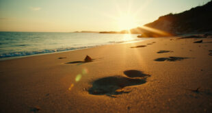 Empty beach at twilight with lone hoofprints in sand leading to water, scattered driftwood and gentle waves