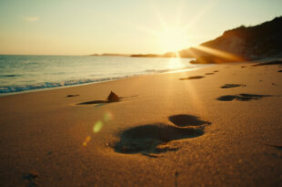 Empty beach at twilight with lone hoofprints in sand leading to water, scattered driftwood and gentle waves