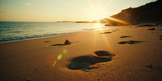 Empty beach at twilight with lone hoofprints in sand leading to water, scattered driftwood and gentle waves