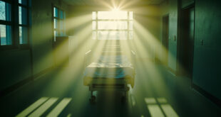 Empty hospital room with freshly made bed bathed in dawn light streaming through window, signifying completed recovery