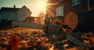 Abandoned orange chainsaw lying beside a cut tree trunk in a residential yard with scattered wood debris