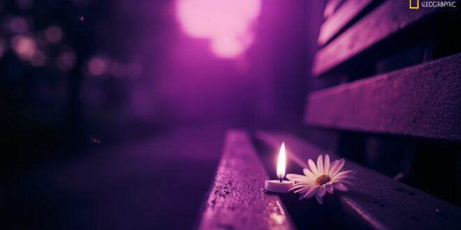 Memorial garden at twilight with solitary white flower on empty bench and flickering candle in gentle breeze