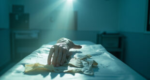 Anatomical hand model on examination table with empty medical gloves and nerve diagram in sterile medical room