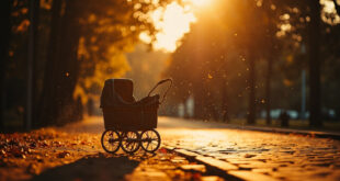 Abandoned vintage baby carriage sits on cobblestone path in peaceful autumn park, bathed in golden light