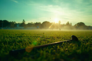 Abandoned polo equipment on empty Windsor grounds, featuring lone mallet on emerald grass under fading light
