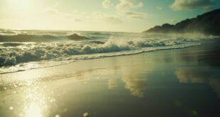 Deserted Pacific shoreline at dawn showing abnormally receded ocean waters exposing seabed - a natural tsunami warning sign