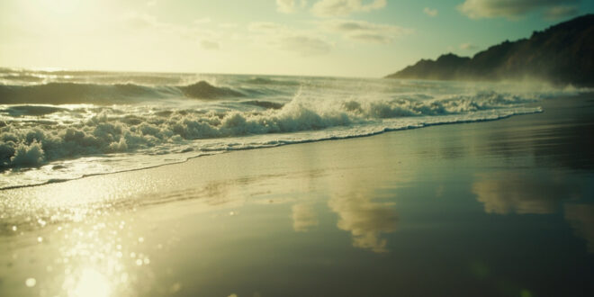 Deserted Pacific shoreline at dawn showing abnormally receded ocean waters exposing seabed - a natural tsunami warning sign