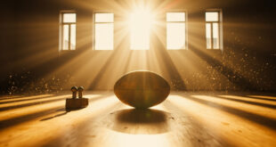 Arranged dumbbells and rugby ball on wooden floor in minimalist fitness studio with natural light and dust particles