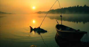 Fishing equipment at empty lake shore at dawn with massive catfish silhouette visible beneath calm Czech reservoir waters