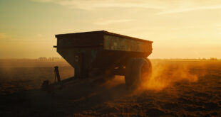 Abandoned manure spreader sits in empty farmyard at dawn, highlighting rural property dispute with stark metallic equipment