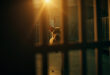 Solitary American Bully dog sitting behind kennel bars in an empty animal shelter corridor, illuminated by amber light