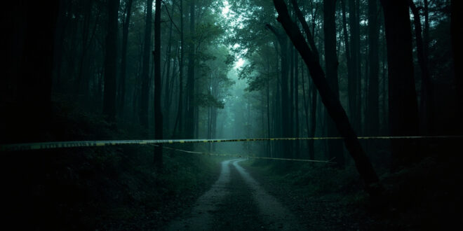 Empty forest trail blocked by yellow police tape among tall dark trees