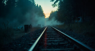 Empty railway tracks lead into dark forest at abandoned lakeside camping area during dusk investigation