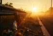 Memorial flowers and scattered debris at damaged guardrail on empty rural road at dawn following fatal traffic accident