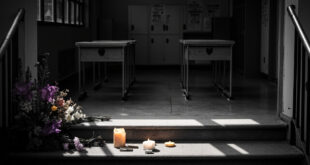Empty wooden school desks in sunlit classroom with memorial flowers on windowsill