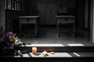 Empty wooden school desks in sunlit classroom with memorial flowers on windowsill