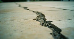 Close-up view of cracked limestone patio stone showing deep gash damage in White House Rose Garden construction