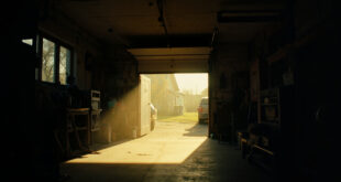 Morning sunlight illuminates the interior of a residential garage with open door showing safe hiding space