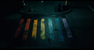Black paint covers rainbow-striped crosswalk on empty city street at night