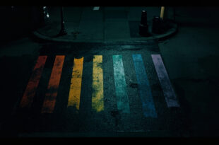 Black paint covers rainbow-striped crosswalk on empty city street at night