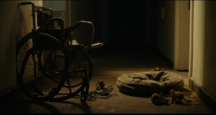 Empty dog bed and leash beside wheelchair in nursing home corridor with medical equipment