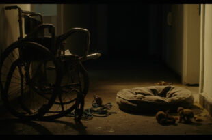Empty dog bed and leash beside wheelchair in nursing home corridor with medical equipment