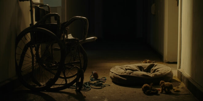 Empty dog bed and leash beside wheelchair in nursing home corridor with medical equipment