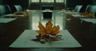 Withered autumn leaves scattered on empty government conference table in dimly lit chamber