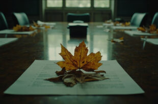 Withered autumn leaves scattered on empty government conference table in dimly lit chamber
