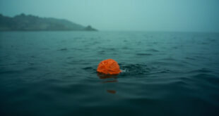Orange swim cap floating alone on dark bay waters with misty shoreline in background