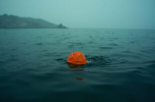 Orange swim cap floating alone on dark bay waters with misty shoreline in background