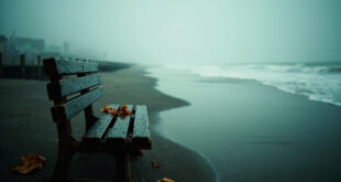 Weathered wooden bench on foggy beach boardwalk with ocean waves in background, autumn leaves scattered nearby