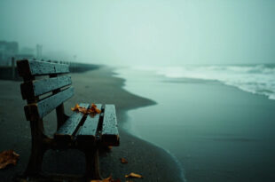 Weathered wooden bench on foggy beach boardwalk with ocean waves in background, autumn leaves scattered nearby
