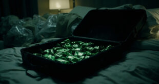 Open black suitcase on hotel bed containing multiple green foil packages arranged in rows