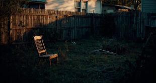 Empty suburban backyard with overturned furniture and overgrown grass beside weathered fence in fading light