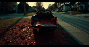 Open truck tailgate with red painted objects scattered across suburban lawn in evening light
