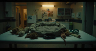 Empty dog collar and worn toys arranged on white veterinary table in dimly lit hospital room