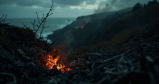 Glowing embers beneath blackened tree roots on scorched hillside with coastal vista background