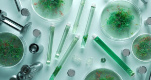 Laboratory vials and scientific equipment arranged on sterile white surface with soft lighting.