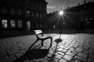Empty park bench under streetlight on cobblestone plaza at twilight, long shadows stretching across ground