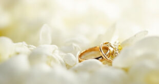 Two gold wedding bands resting on white flower petals with soft romantic lighting