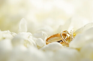 Two gold wedding bands resting on white flower petals with soft romantic lighting