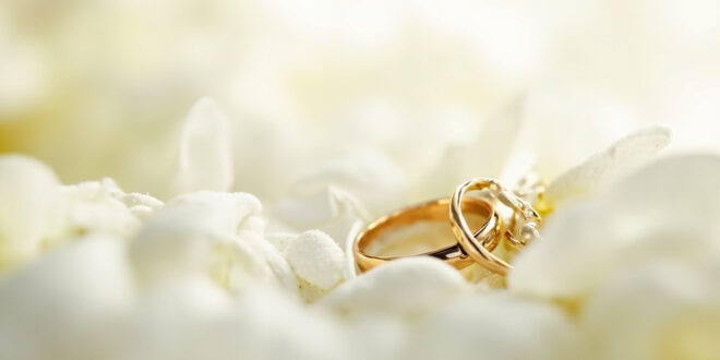 Two gold wedding bands resting on white flower petals with soft romantic lighting