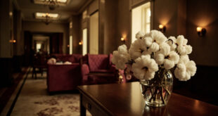 White cotton plant stems in clear glass vase on dark wooden table in hotel hallway with warm lighting
