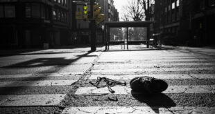 Empty pedestrian crossing with scattered belongings on wet pavement at urban Berlin intersection