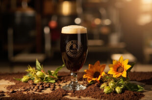 Dark beer glass with creamy foam beside coffee beans and green hop cones on wooden bar surface